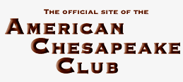 American Chesapeake Club