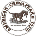 ACC Logo Decal