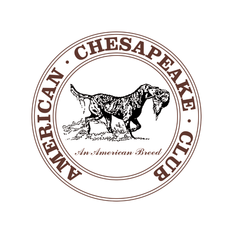 American Chesapeake Club Logo