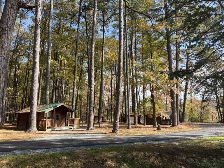Campground Cabins