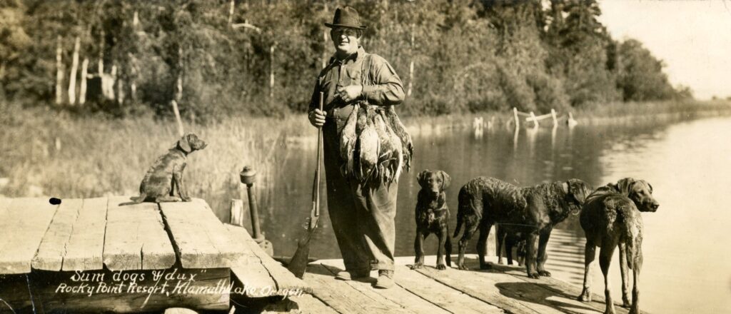 Chesapeake Bay Retrievers Klamath Lake 1927-Historic Photo