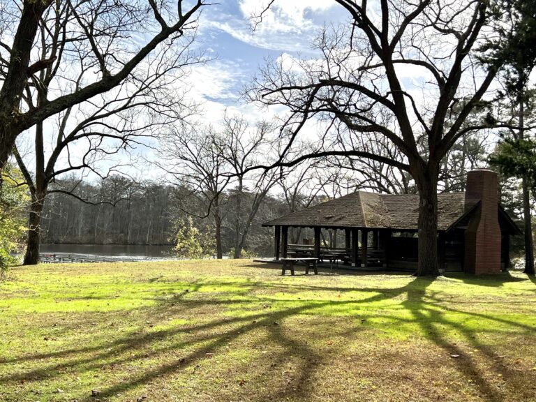 Grassy area around the Nassawango Pavillion