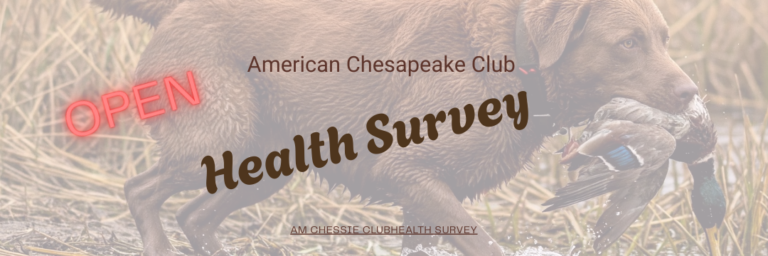 Health Survey Web