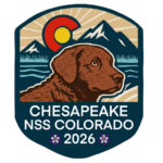 2026 ACC NSS Logo